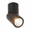 Светодиодный спот ST Luce ST650.442.10 фото 4 — Дзинь ля-ля