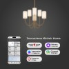 Подвесная люстра Eurosvet Abbey 60164/6 латунь Smart фото 3 &mdash; Дзинь ля-ля