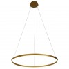 Подвесной светодиодный светильник Kink Light Тор 08214,33P(3000K) фото 2 — Дзинь ля-ля