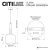 Подвесной светильник Citilux Nort CL475011 фото 2 &mdash; Дзинь ля-ля