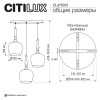 Подвесной светильник Citilux Nort CL475012 фото 2 &mdash; Дзинь ля-ля
