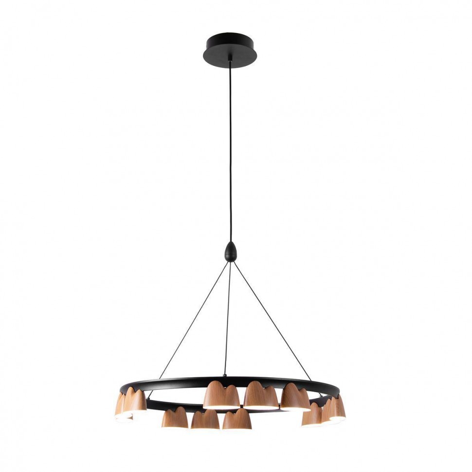 Подвесная светодиодная люстра Favourite Interline 4266-12P фото 1 — Дзинь ля-ля