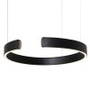 Подвесной светодиодный светильник Loft IT Ring 10025/400 Black фото 4 — Дзинь ля-ля