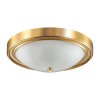Настенно-потолочный светильник Lumion Vintage Nina 5259/3C фото 1 &mdash; Дзинь ля-ля
