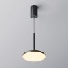 Подвесной светодиодный светильник Maytoni Technical Plato P076PL-L12W3K-B фото 5 &mdash; Дзинь ля-ля