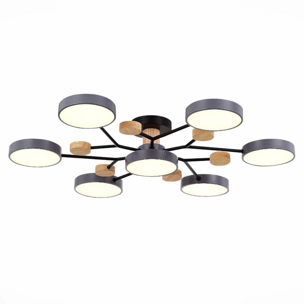 Потолочная светодиодная люстра Evoluce FAEMA SLE6006-702-07 фото 1 &mdash; Дзинь ля-ля