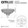Подвесная люстра Citilux Sagrada CL317261 фото 6 &mdash; Дзинь ля-ля