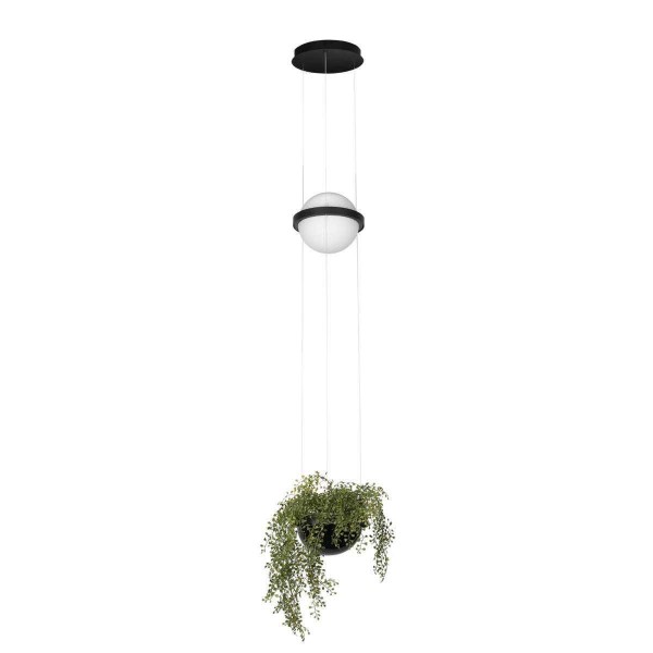 Подвесной светильник LOFT IT Jardin 10121/B — Дзинь ля-ля