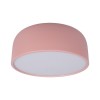 Потолочный светодиодный светильник Loft IT Axel 10201/350 Pink фото 1 — Дзинь ля-ля