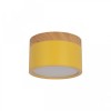 Накладной светодиодный светильник Loft IT Grape 10162 Yellow фото 1 — Дзинь ля-ля
