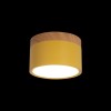 Накладной светодиодный светильник Loft IT Grape 10162 Yellow фото 2 — Дзинь ля-ля