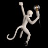 Настенный светильник Loft IT Monkey 10314W/A фото 6 &mdash; Дзинь ля-ля