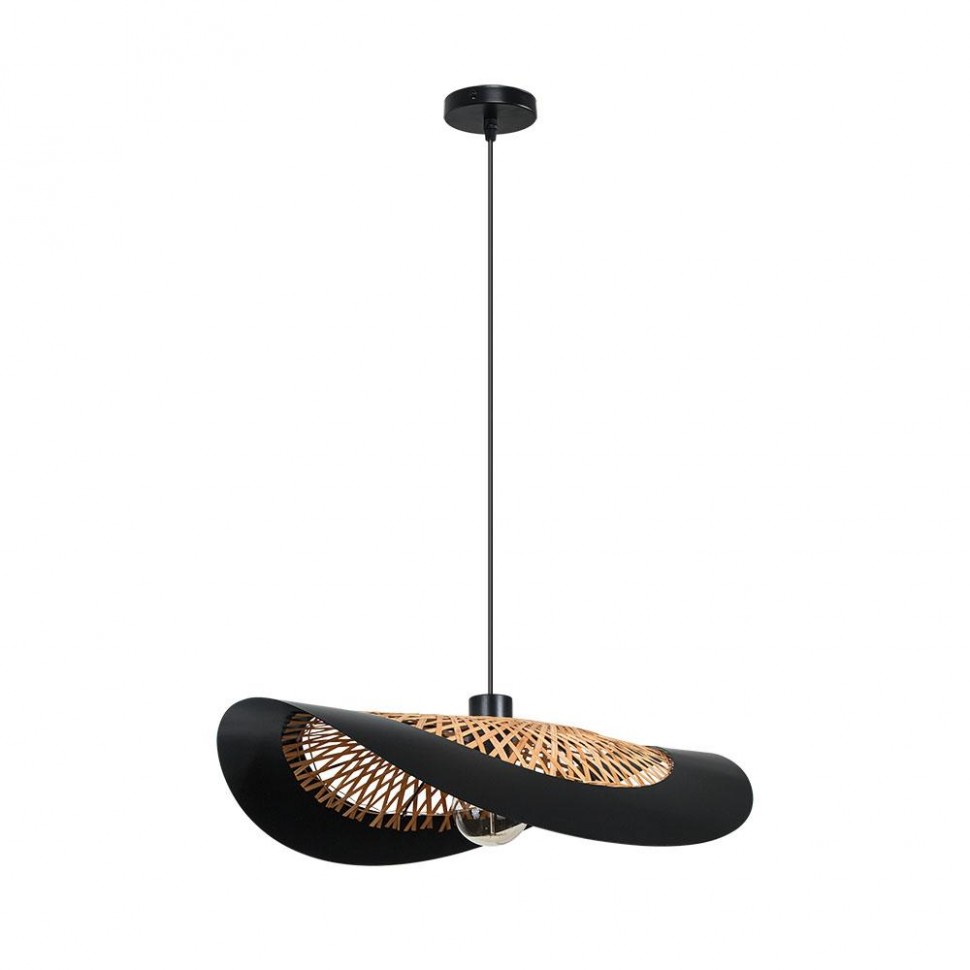 Подвесной светильник Arte Lamp WOODSTOCK A7059SP-1BK фото 1 &mdash; Дзинь ля-ля