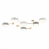 Потолочный светильник Evoluce DOSSENA SLE600102-06 фото 1 — Дзинь ля-ля