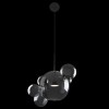 Подвесной светодиодный светильник Loft IT Bolle 2029-P6 фото 4 — Дзинь ля-ля
