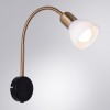 Бра Arte Lamp Falena A3116AP-1BK фото 2 — Дзинь ля-ля