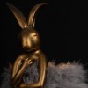 Подвесной светильник Loft IT Lapine 10315/A Grey fluff фото 3 — Дзинь ля-ля