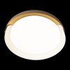 Потолочный светодиодный светильник Loft IT Coin 10198 White фото 4 &mdash; Дзинь ля-ля
