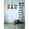 Подвесная люстра Arte Lamp Trattoria A5664LM-5AB фото 3 — Дзинь ля-ля