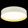 Потолочный светодиодный светильник Evoluce Brescia SLE300552-01 фото 3 &mdash; Дзинь ля-ля