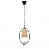 Подвесной светильник Loft IT Birds Loft1029A-1 фото 3 — Дзинь ля-ля
