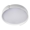 Потолочный светодиодный светильник Loft IT Coin 10200 White фото 2 — Дзинь ля-ля