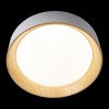 Потолочный светодиодный светильник Loft IT Coin 10202 White фото 4 &mdash; Дзинь ля-ля