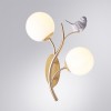 Бра Arte Lamp Camomilla A9712AP-2SG фото 3 &mdash; Дзинь ля-ля