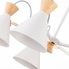 Потолочная люстра Evoluce Modica SLE125102-05 фото 2 &mdash; Дзинь ля-ля