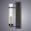 Бра Arte Lamp Hugo A1688AP-1BK фото 4 — Дзинь ля-ля
