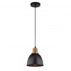 Подвесной светильник Arte Lamp Eurica A4245SP-1BK фото 1 &mdash; Дзинь ля-ля
