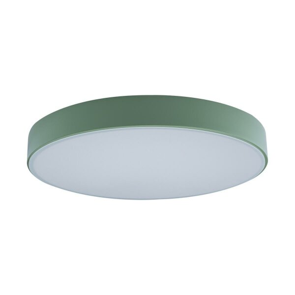 Потолочный светодиодный светильник Loft IT Axel 10002/24  green — Дзинь ля-ля