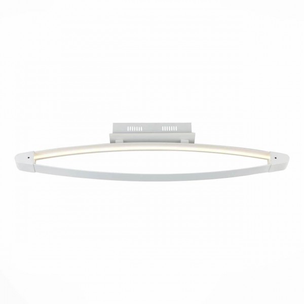 Потолочный светодиодный светильник ST Luce SL920.102.01 — Дзинь ля-ля