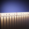 Светодиодная влагозащищенная лента Maytoni 9,6W/m 120LED/m 2835SMD теплый белый 5M 201045 фото 1 — Дзинь ля-ля