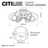Потолочная светодиодная люстра Citilux Salma Smart CL224A172 фото 4 &mdash; Дзинь ля-ля