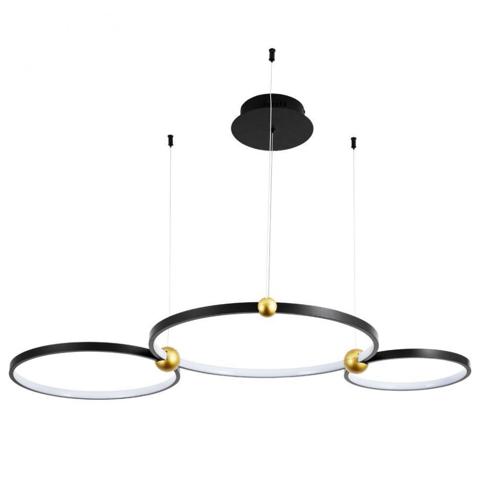Подвесная светодиодная люстра Divinare Amadeo 1123/04 SP-75 фото 1 &mdash; Дзинь ля-ля