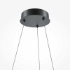 Подвесной светодиодный светильник Maytoni Curve MOD241PL-L60BK фото 2 — Дзинь ля-ля