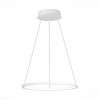 Подвесной светодиодный светильник ST Luce ST603.543.22 фото 2 &mdash; Дзинь ля-ля