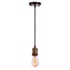 Подвесной светильник Loft IT Holder Loft1153 фото 2 — Дзинь ля-ля