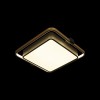 Потолочный светодиодный светильник Loft IT Mike 10171 фото 3 — Дзинь ля-ля