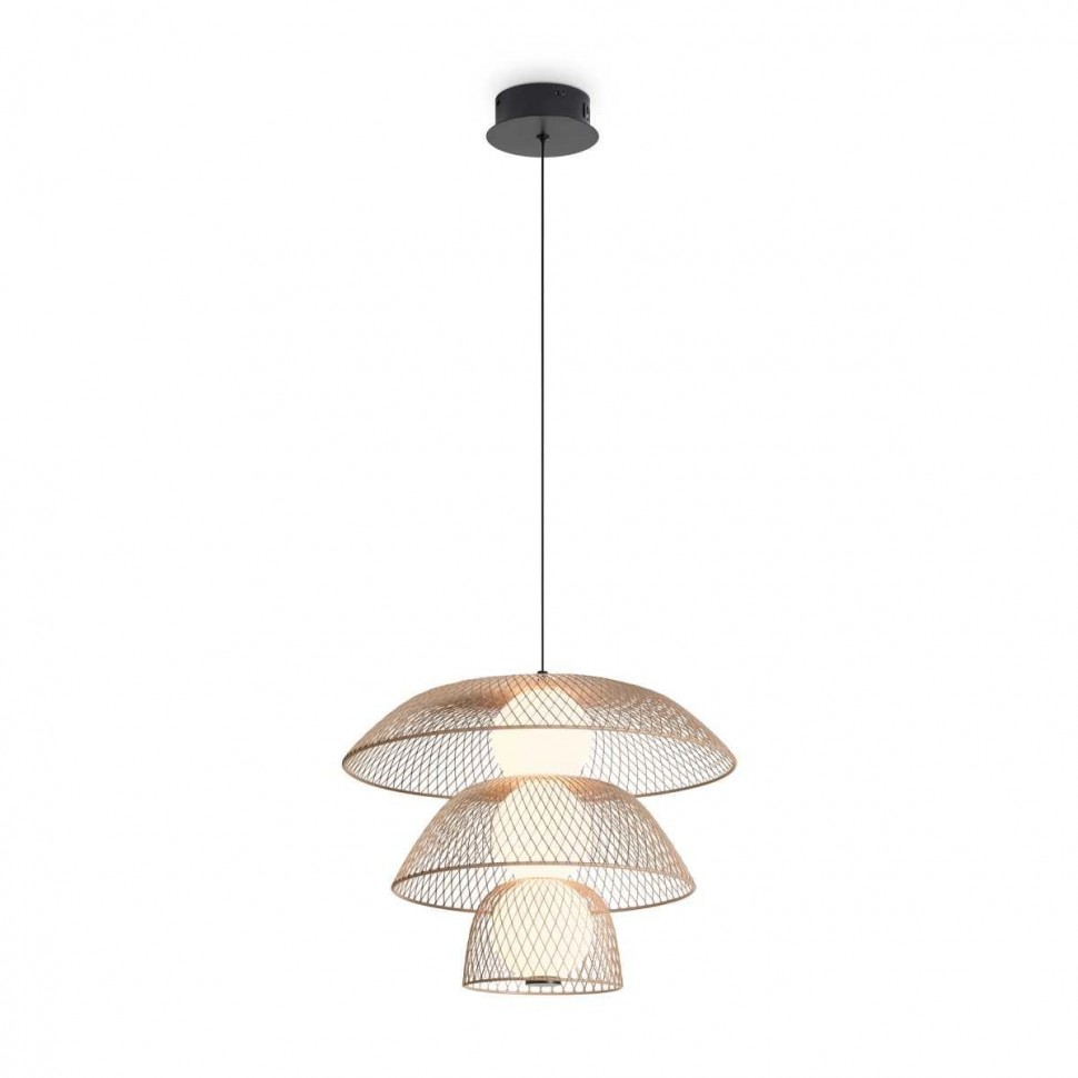 Подвесной светильник Freya Modern FR5545PL-L5BG фото 1 &mdash; Дзинь ля-ля