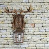 Уличный настенный светильник Favourite Hunt 2078-1W фото 3 — Дзинь ля-ля
