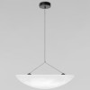 Подвесной светодиодный светильник Loft IT Tense 10347/L фото 6 — Дзинь ля-ля