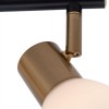 Спот Arte Lamp Falena A3117PL-2BK фото 2 — Дзинь ля-ля