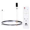 Подвесной светодиодный светильник Arte Lamp Mercury A2184SP-1BK фото 1 &mdash; Дзинь ля-ля