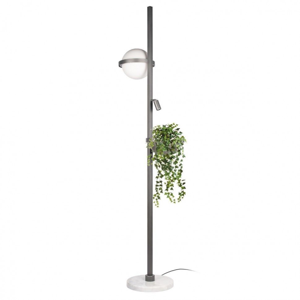 Торшер Loft IT Jardin 10121/F Dark grey фото 1 — Дзинь ля-ля