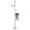 Торшер Loft IT Jardin 10121/F Dark grey фото 3 — Дзинь ля-ля