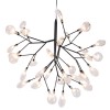 Подвесная люстра Crystal Lux Evita SP36 Black/Transparent фото 3 &mdash; Дзинь ля-ля